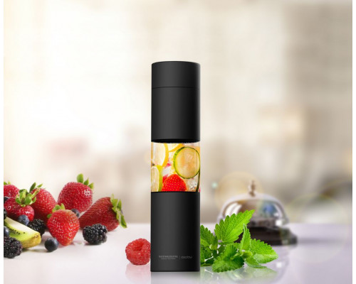 Бутылка для воды Flavour U See, черная