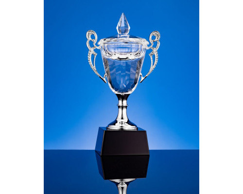 Кубок Victorious, малый