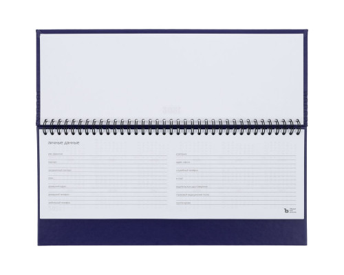 Планинг Brand, датированный, синий