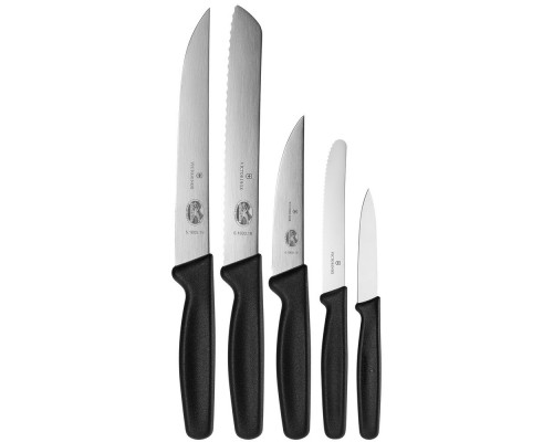 Набор ножей Victorinox Standart в деревянной подставке