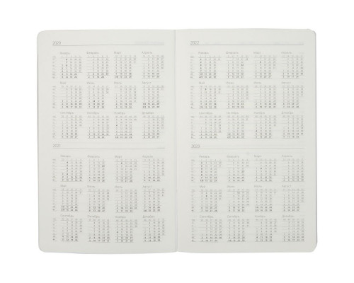 Ежедневник My Day, недатированный, серебристый