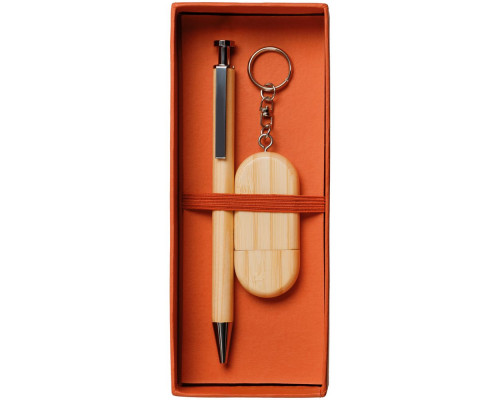 Набор Stylos, оранжевый, 8 Гб