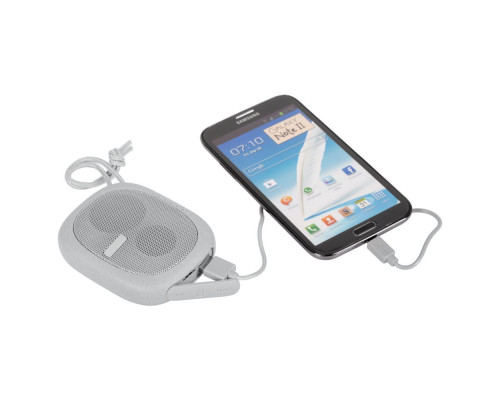 Беспроводная колонка c внешним аккумулятором Pebble