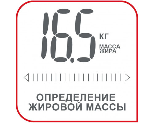 Напольные весы Bodymaster, серебристые