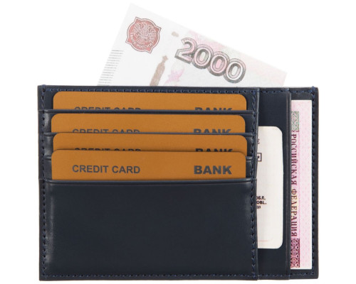 Чехол для карт и автодокументов Albert, синий