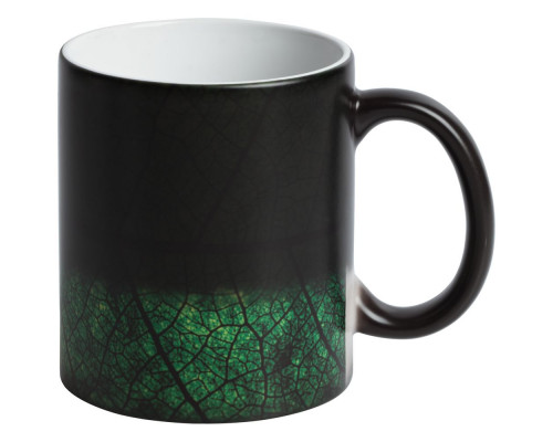 Кружка Evergreen