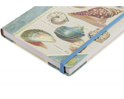 Книга для записей Shells