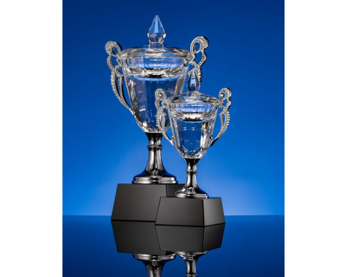 Кубок Victorious