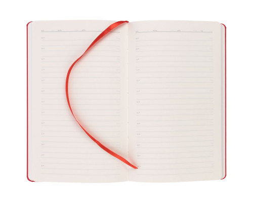 Ежедневник Magnet Shall с ручкой, красный