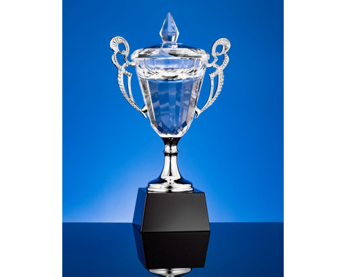 Кубок Victorious