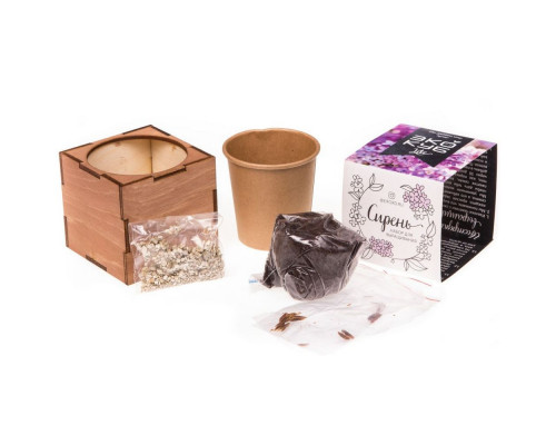 Набор для выращивания «Экокуб Lite», сирень