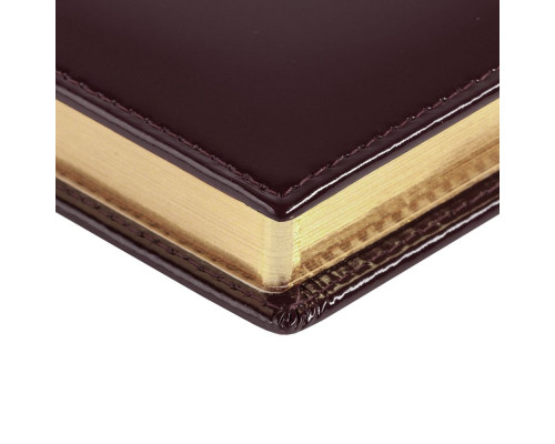 Ежедневник LUXE REPTAIL, недатированный, коричневый