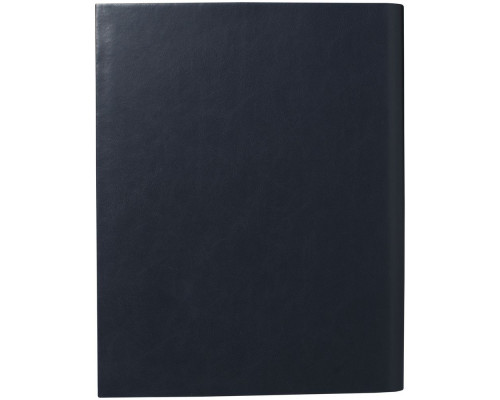 Набор Lapo: папка с блокнотом А4, роллер и флешка 16 Гб, черный