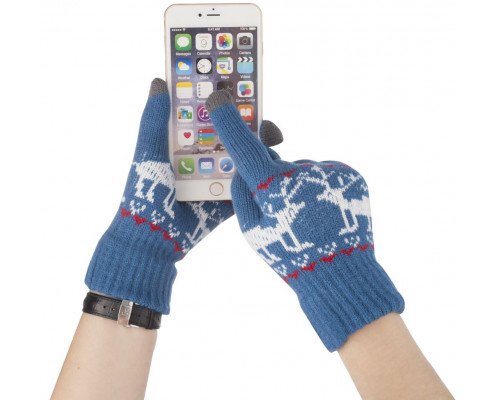 Сенсорные перчатки Raindeer, синие