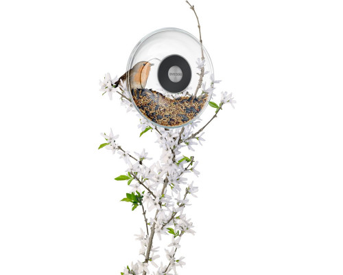 Кормушка для птиц Window Bird Feeder, прозрачная, малая