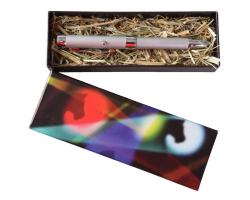 Ручка с проекцией из серии «Ход конем»