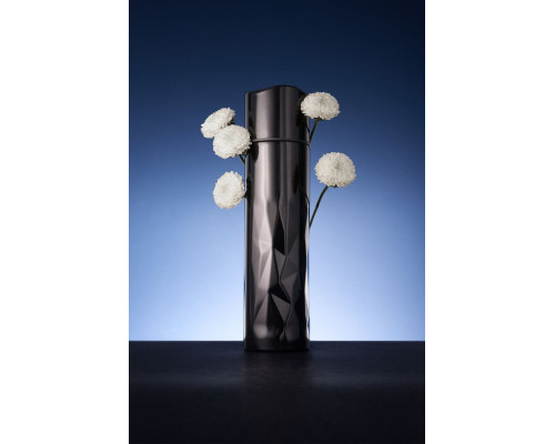 Термос Gems Black Morion, черный морион