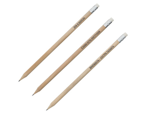 Набор «Мастера слова», русские авторы