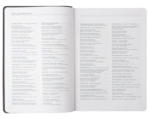 Ежедневник Vivien, недатированный, оранжевый