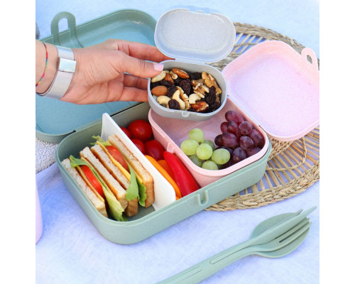 Ланчбокс Pascal Mini Organic, синий