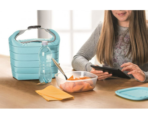 Набор Handy: термосумка и контейнер, малый, зеленый