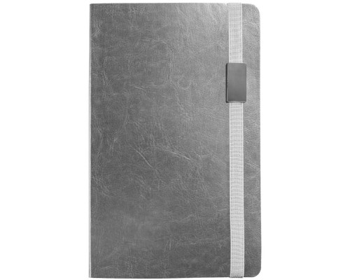 Ежедневник My Day, недатированный, серебристый