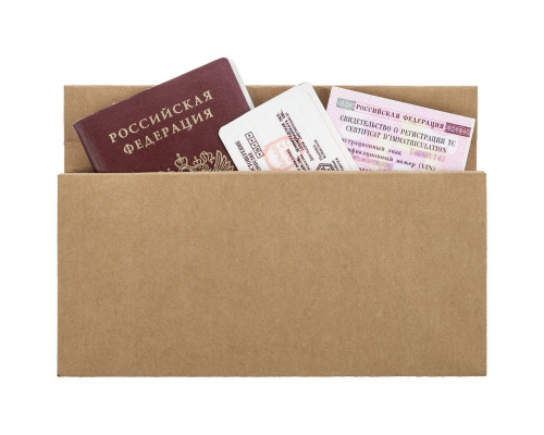 Органайзер для путешествий ticketJacket, песочный