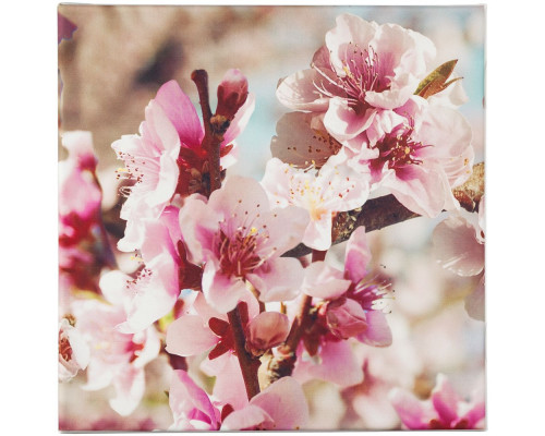 Настенная композиция «Цветение»