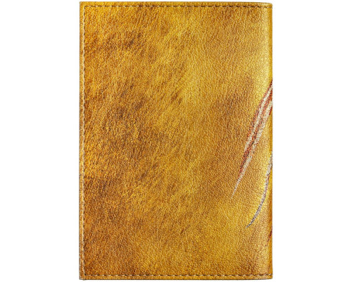 Обложка для автодокументов «Хозяйка огня»