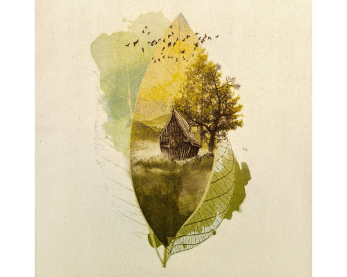 Холщовая сумка Eco Vision