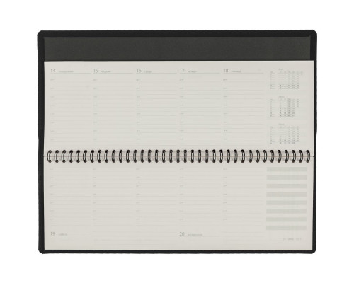 Планинг Shall, датированный, черный