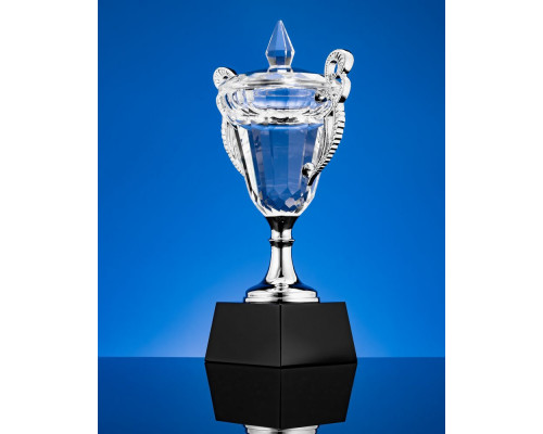 Кубок Victorious