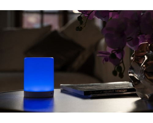 Лампа с управлением прикосновениями TouchLight