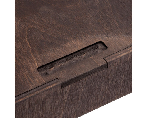 Награда Asteri Dark Gold