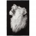Плед Like a Lion