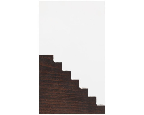 Награда Step Forward, венге