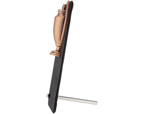 Награда Triumph Bronze