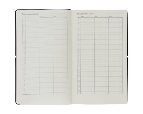 Ежедневник Nubuk, недатированный, черный