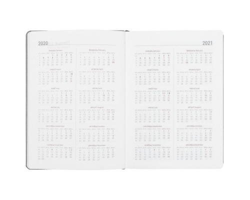 Ежедневник Factor, недатированный, серый