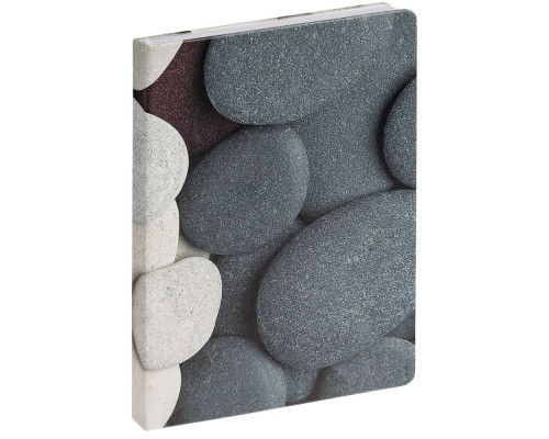 Ежедневник Pebble