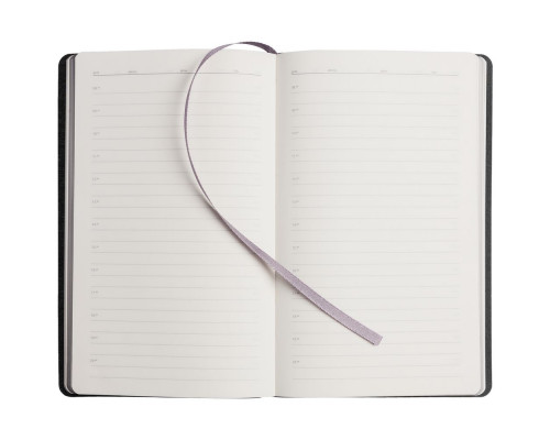 Ежедневник My Day, недатированный, серебристый