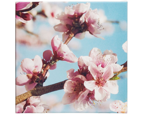 Настенная композиция «Цветение»