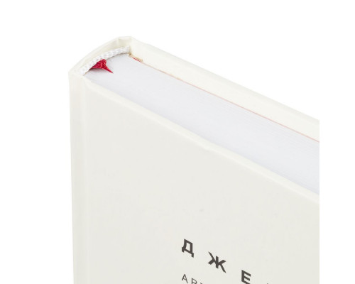 Книга «НИ СЫ»