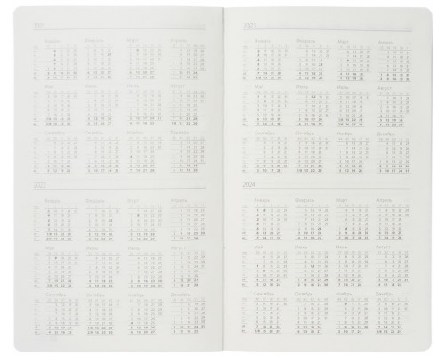 Ежедневник Coach, недатированный, синий