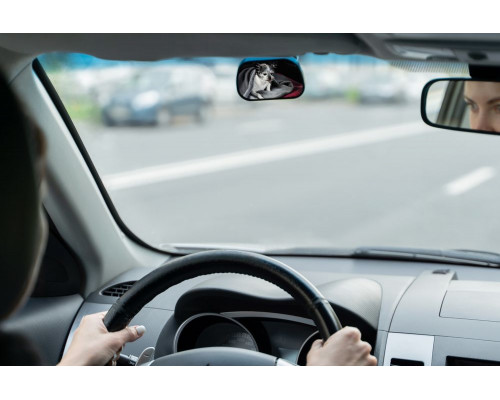 Зеркало салонное Spotter