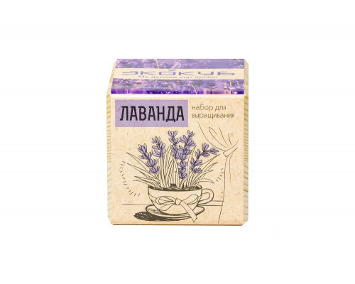 Набор для выращивания «Экокуб», лаванда