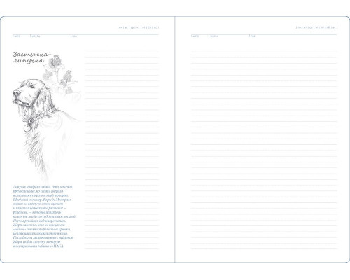 Ежедневник «История изобретений», недатированный, белый