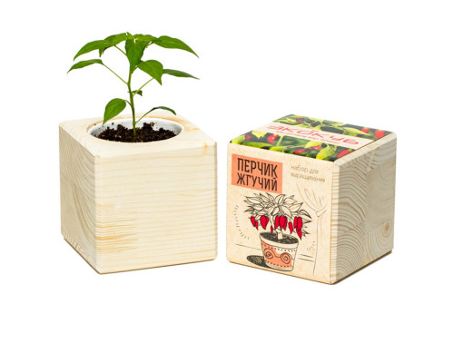 Набор для выращивания «Экокуб», перчик жгучий