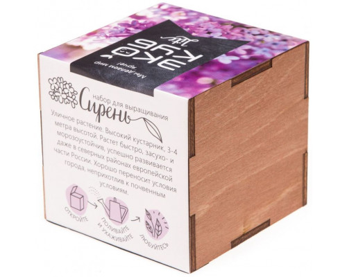 Набор для выращивания «Экокуб Lite», сирень