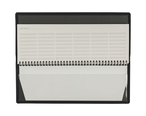 Планинг Shall, датированный, черный